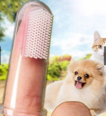 Escova De Dentes De Estimação Silicone Para Pets Cães E Gatode Limpa 5*2cm
